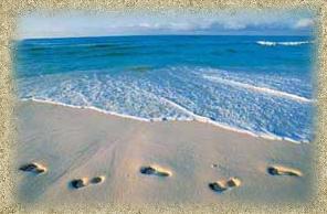 Footprints